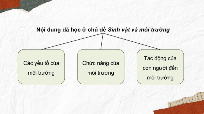 Giáo án điện tử Khoa học 5 cánh diều Bài Ôn tập chủ đề Sinh vật và môi trường