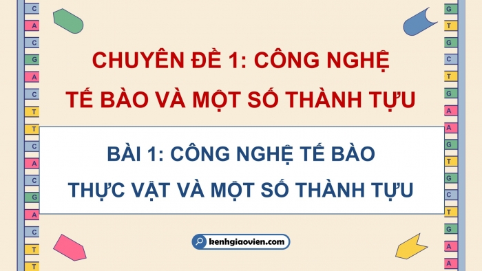 Giáo án điện tử chuyên đề Sinh học 10 kết nối Bài 1: Công nghệ tế bào thực vật và thành tựu