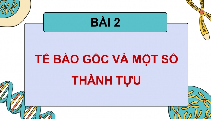 Giáo án điện tử chuyên đề Sinh học 10 kết nối Bài 2: Tế bào gốc và một số thành tựu