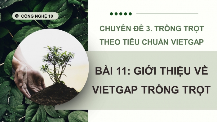 Giáo án điện tử chuyên đề Công nghệ trồng trọt 10 kết nối Bài 11: Giới thiệu về VietGAP trồng trọt