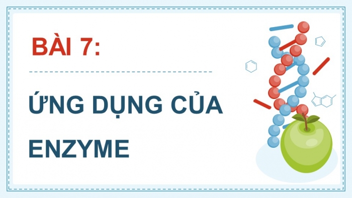 Giáo án điện tử chuyên đề Sinh học 10 kết nối Bài 7: Ứng dụng của enzyme