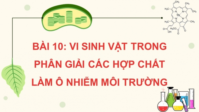 Giáo án điện tử chuyên đề Sinh học 10 kết nối Bài 10: Vi sinh vật trong phân giải các hợp chất làm ô nhiễm môi trường