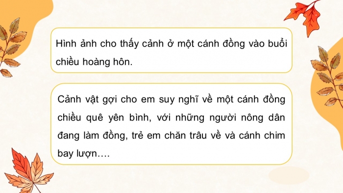 Giáo án điện tử Tiếng Việt 5 chân trời Bài 2: Chiền chiện bay lên