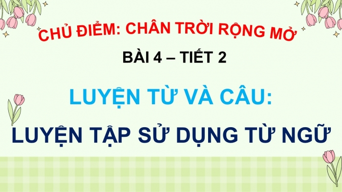 Giáo án điện tử Tiếng Việt 5 chân trời Bài 4: Luyện tập sử dụng từ ngữ