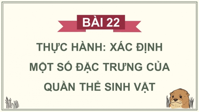 Giáo án điện tử Sinh học 12 chân trời Bài 22: Thực hành Xác định một số đặc trưng cơ bản của quần thể sinh vật