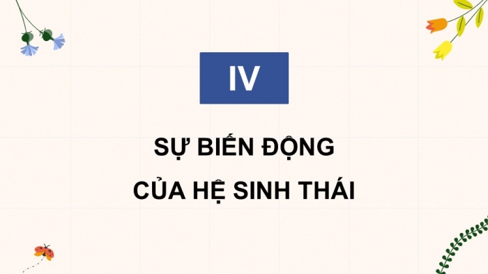 Giáo án điện tử Sinh học 12 chân trời Bài 25: Hệ sinh thái (P2)