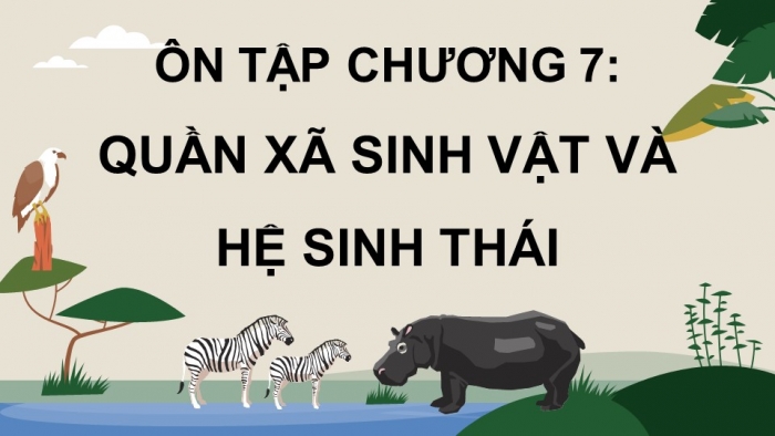 Giáo án điện tử Sinh học 12 chân trời Bài Ôn tập Chương 7