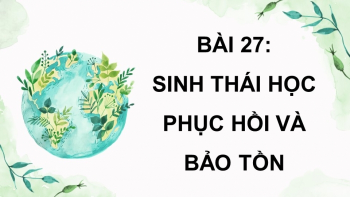 Giáo án điện tử Sinh học 12 chân trời Bài 27: Sinh thái học phục hồi và bảo tồn