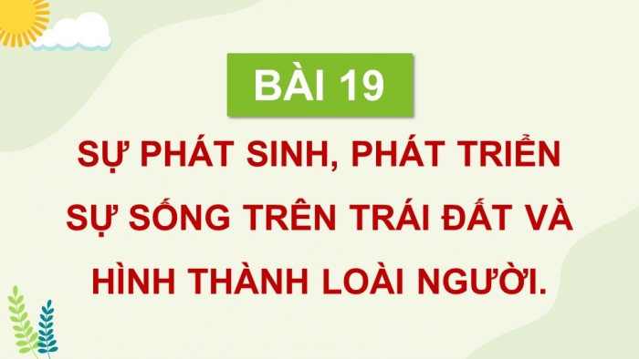 Giáo án điện tử Sinh học 12 cánh diều Bài 19: Sự phát sinh, phát triển sự sống trên Trái Đất và hình thành loài người