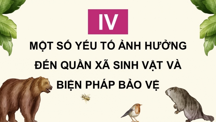 Giáo án điện tử Sinh học 12 cánh diều Bài 22: Sinh thái học quần xã (P2)