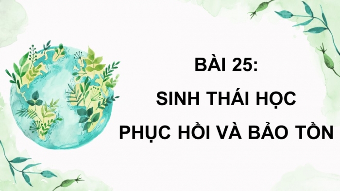 Giáo án điện tử Sinh học 12 cánh diều Bài 25: Sinh thái học phục hồi, bảo tồn