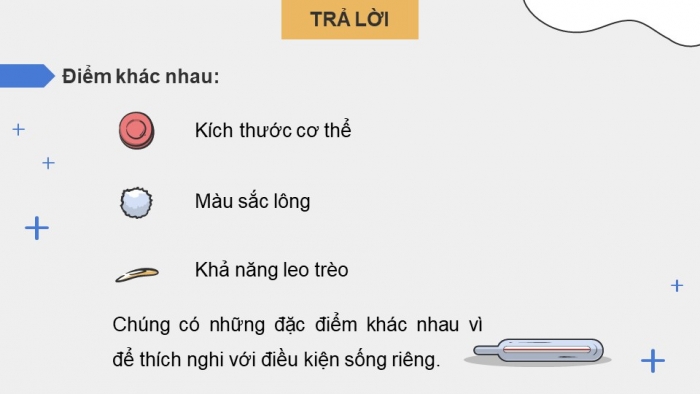 Giáo án điện tử KHTN 9 cánh diều - Phân môn Sinh học Bài 42: Giới thiệu về tiến hóa, chọn lọc nhân tạo và chọn lọc tự nhiên