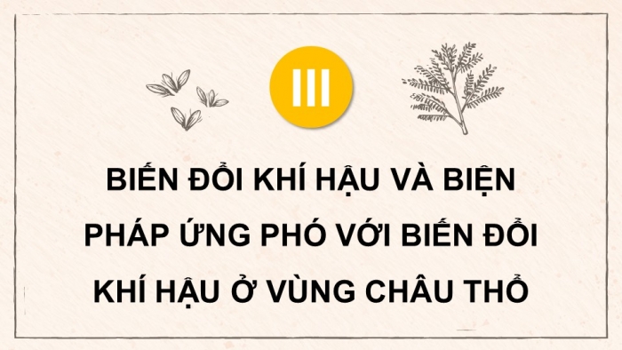 Giáo án điện tử Lịch sử 9 cánh diều Chủ đề chung 2: Văn minh châu thổ sông Hồng và sông Cửu Long (P2)