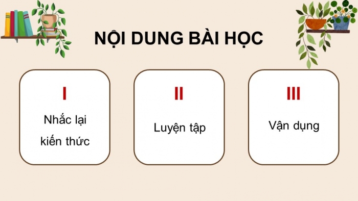 Giáo án PPT dạy thêm Ngữ văn 9 Kết nối bài 9: Văn hóa hoa – cây cảnh (Trần Quốc Vượng)