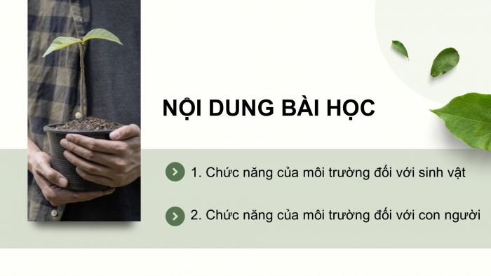 Giáo án điện tử Khoa học 5 cánh diều Bài 19: Chức năng của môi trường đối với sinh vật