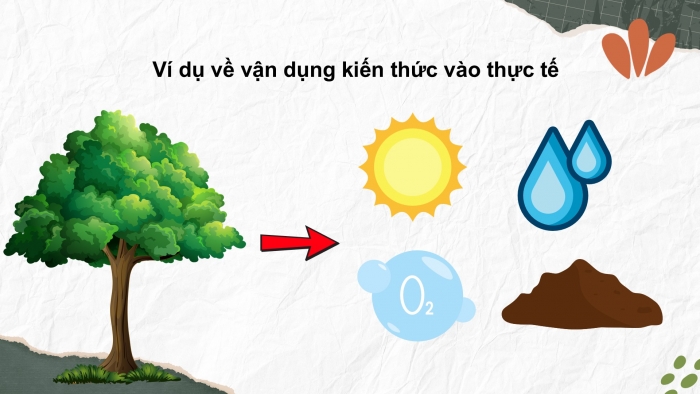 Giáo án điện tử Khoa học 5 cánh diều Bài Ôn tập chủ đề Sinh vật và môi trường