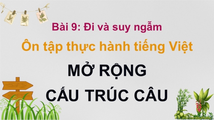 Giáo án PPT dạy thêm Ngữ văn 9 Kết nối bài 9: Ôn tập thực hành tiếng Việt (2)