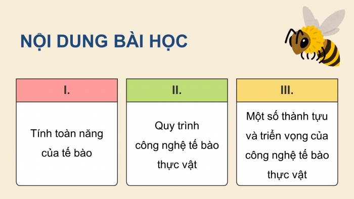 Giáo án điện tử chuyên đề Sinh học 10 kết nối Bài 1: Công nghệ tế bào thực vật và thành tựu