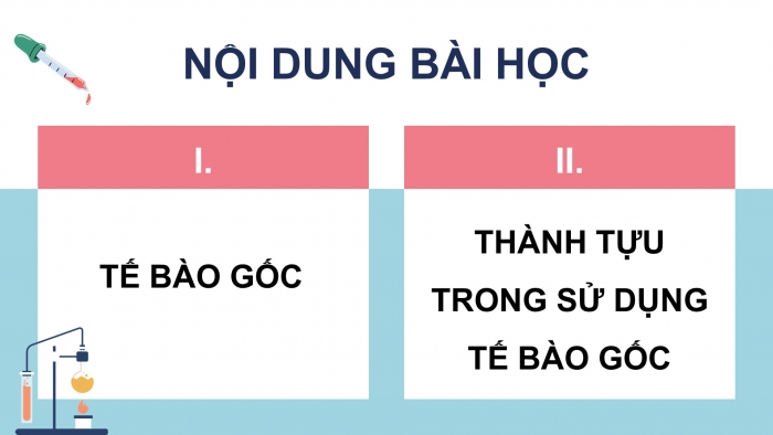 Giáo án điện tử chuyên đề Sinh học 10 kết nối Bài 2: Tế bào gốc và một số thành tựu