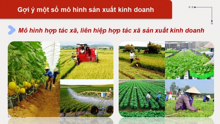 Giáo án điện tử chuyên đề Kinh tế pháp luật 10 kết nối Bài 4: Những vấn đề chung về doanh nghiệp nhỏ