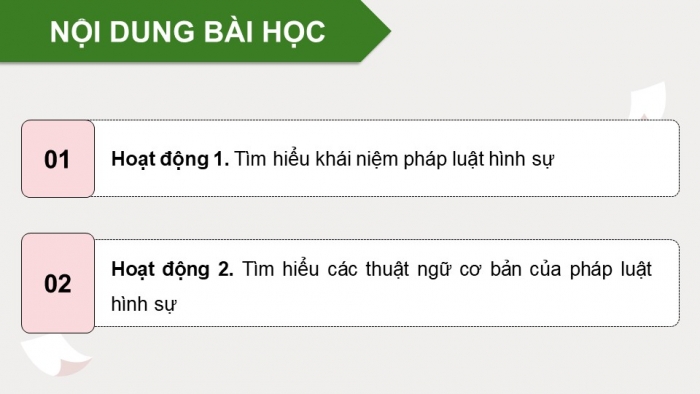 Giáo án điện tử chuyên đề Kinh tế pháp luật 10 chân trời Bài 6: Khái quát về pháp luật hình sự