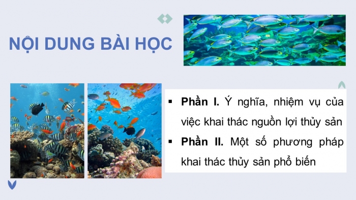 Giáo án điện tử Công nghệ 12 Lâm nghiệp Thủy sản Cánh diều Bài 25: Khai thác hợp lí nguồn lợi thủy sản