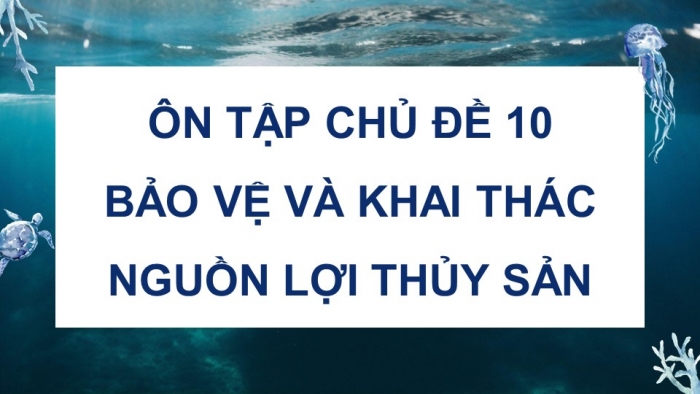 Giáo án điện tử Công nghệ 12 Lâm nghiệp Thủy sản Cánh diều Bài Ôn tập chủ đề 10