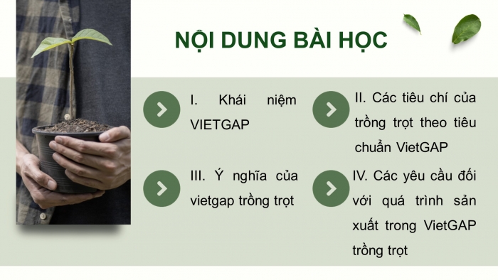 Giáo án điện tử chuyên đề Công nghệ trồng trọt 10 kết nối Bài 11: Giới thiệu về VietGAP trồng trọt