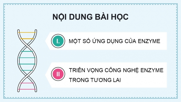 Giáo án điện tử chuyên đề Sinh học 10 kết nối Bài 7: Ứng dụng của enzyme