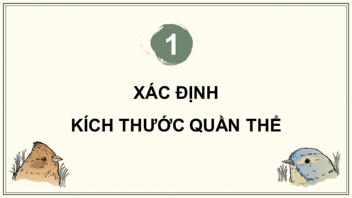 Giáo án điện tử Sinh học 12 chân trời Bài 22: Thực hành Xác định một số đặc trưng cơ bản của quần thể sinh vật