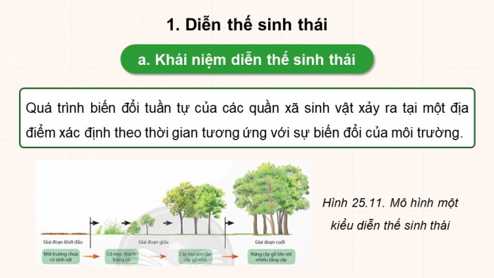 Giáo án điện tử Sinh học 12 chân trời Bài 25: Hệ sinh thái (P2)