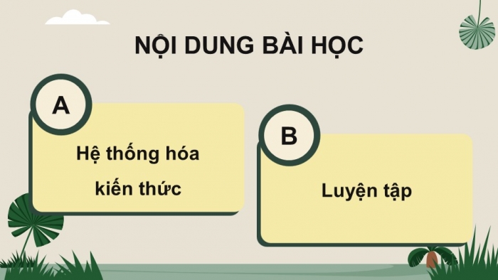 Giáo án điện tử Sinh học 12 chân trời Bài Ôn tập Chương 7