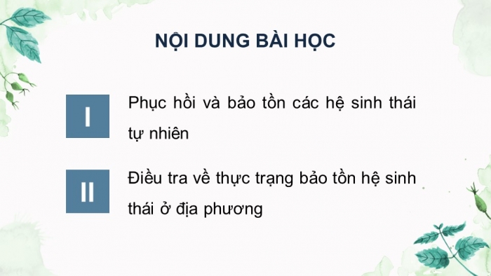 Giáo án điện tử Sinh học 12 chân trời Bài 27: Sinh thái học phục hồi và bảo tồn