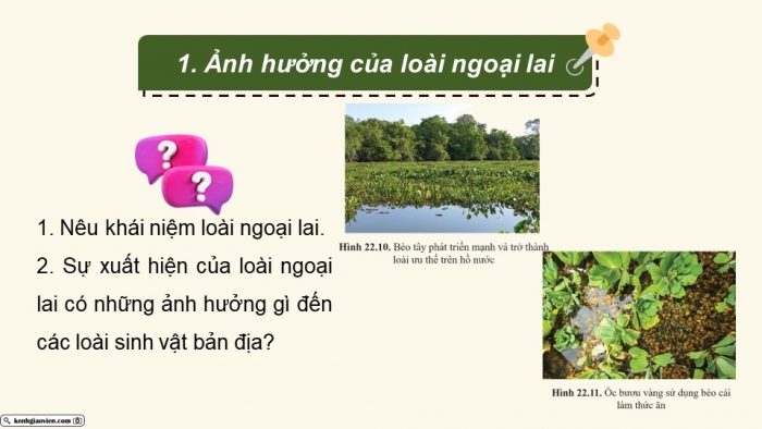 Giáo án điện tử Sinh học 12 cánh diều Bài 22: Sinh thái học quần xã (P2)