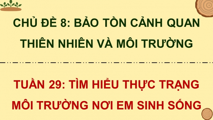 Giáo án điện tử Hoạt động trải nghiệm 5 chân trời bản 2 Chủ đề 8 Tuần 29