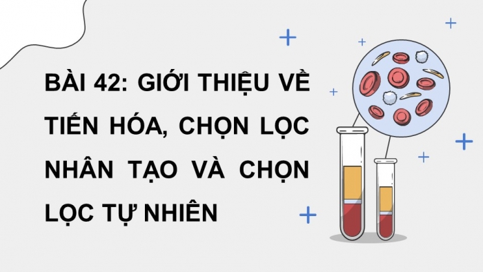 Giáo án điện tử KHTN 9 cánh diều - Phân môn Sinh học Bài 42: Giới thiệu về tiến hóa, chọn lọc nhân tạo và chọn lọc tự nhiên