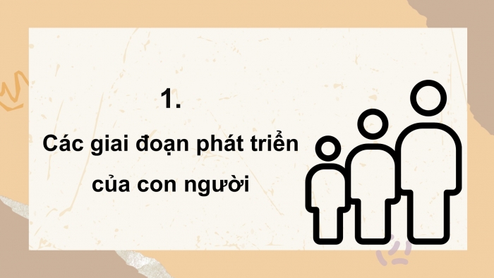 Giáo án điện tử Khoa học 5 cánh diều Bài 16: Quá trình phát triển của con người