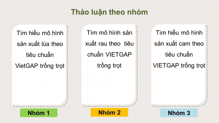 Giáo án điện tử chuyên đề Công nghệ trồng trọt 10 kết nối Bài 13: Một số mô hình trồng trọt theo tiêu chuẩn VietGAP