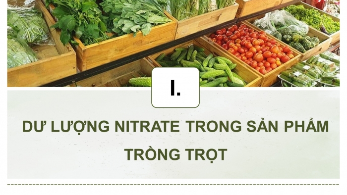 Giáo án điện tử chuyên đề Công nghệ trồng trọt 10 kết nối Bài 14: Thực hành Đo dư lượng nitrate trong rau, củ, quả