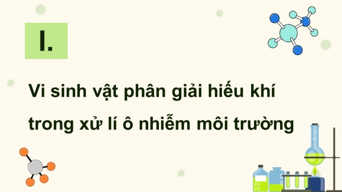 Giáo án điện tử chuyên đề Sinh học 10 kết nối Bài 10: Vi sinh vật trong phân giải các hợp chất làm ô nhiễm môi trường