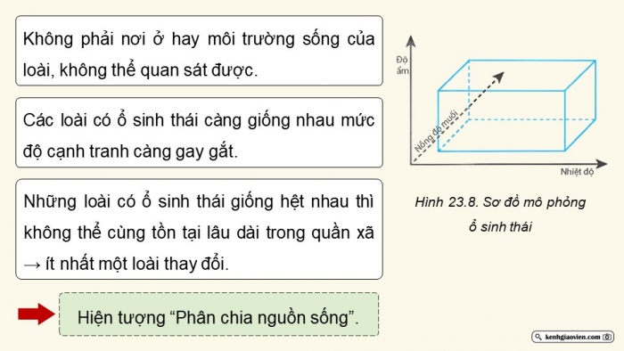 Giáo án điện tử Sinh học 12 chân trời Bài 23: Quần xã sinh vật (P2)