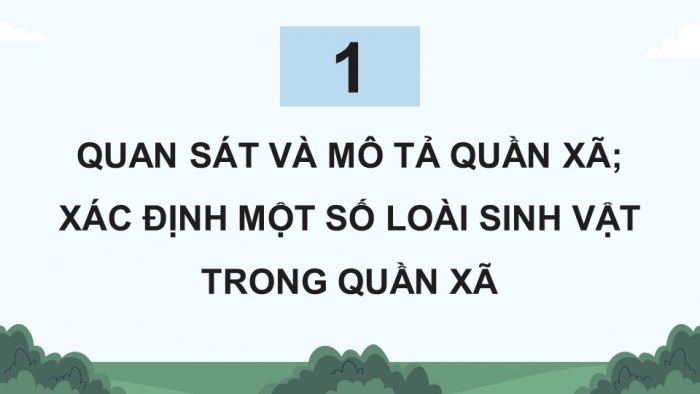 Giáo án điện tử Sinh học 12 chân trời Bài 24: Thực hành Tìm hiểu một số đặc trưng cơ bản của quần xã sinh vật trong tự nhiên