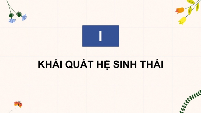 Giáo án điện tử Sinh học 12 chân trời Bài 25: Hệ sinh thái