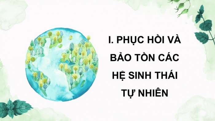 Giáo án điện tử Sinh học 12 chân trời Bài 27: Sinh thái học phục hồi và bảo tồn