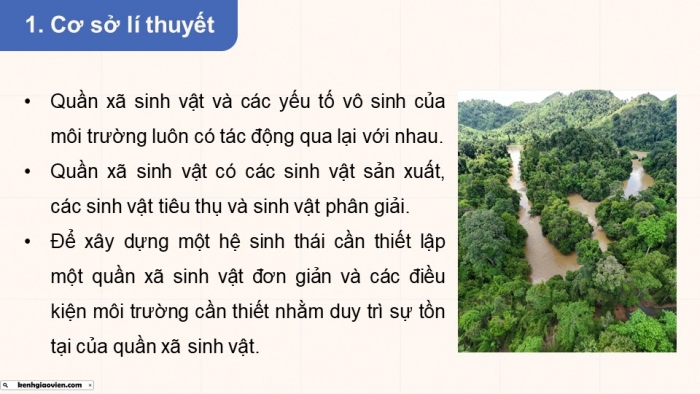 Giáo án điện tử Sinh học 12 cánh diều Bài 23: Hệ sinh thái (P2)