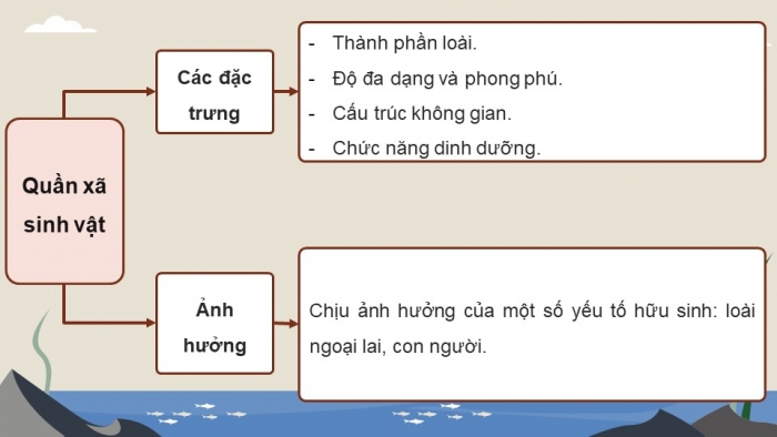 Giáo án điện tử Sinh học 12 cánh diều Bài Ôn tập Phần 7