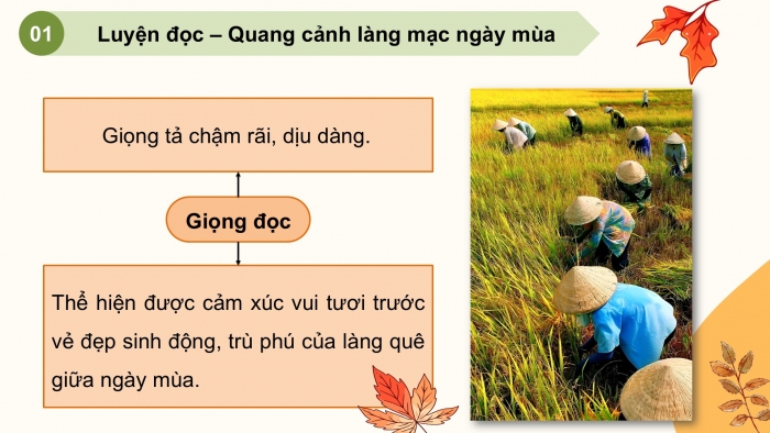 Giáo án PPT dạy thêm Tiếng Việt 5 cánh diều Bài 11: Quang cảnh làng mạc ngày mùa, Tả phong cảnh (Cấu tạo của bài văn)