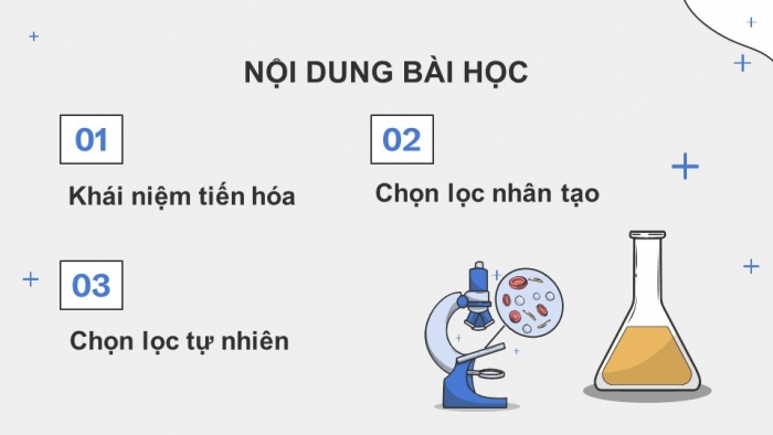 Giáo án điện tử KHTN 9 cánh diều - Phân môn Sinh học Bài 42: Giới thiệu về tiến hóa, chọn lọc nhân tạo và chọn lọc tự nhiên