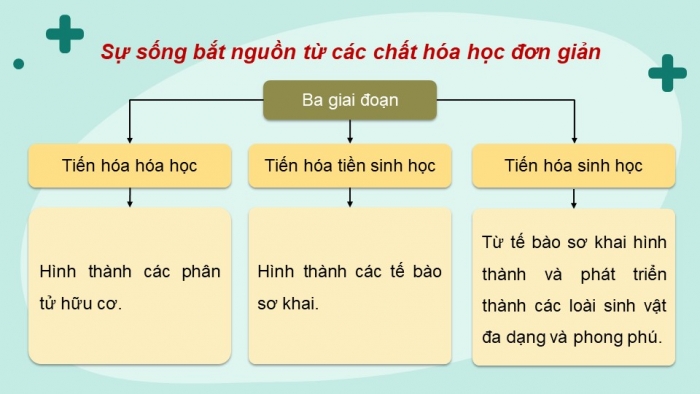 Giáo án điện tử KHTN 9 cánh diều - Phân môn Sinh học Bài 44: Sự phát sinh và phát triển sự sống trên Trái Đất