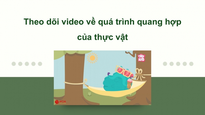 Giáo án điện tử Khoa học 5 cánh diều Bài 19: Chức năng của môi trường đối với sinh vật